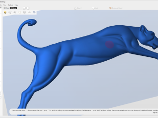 Model Sculpting Model Sculpting