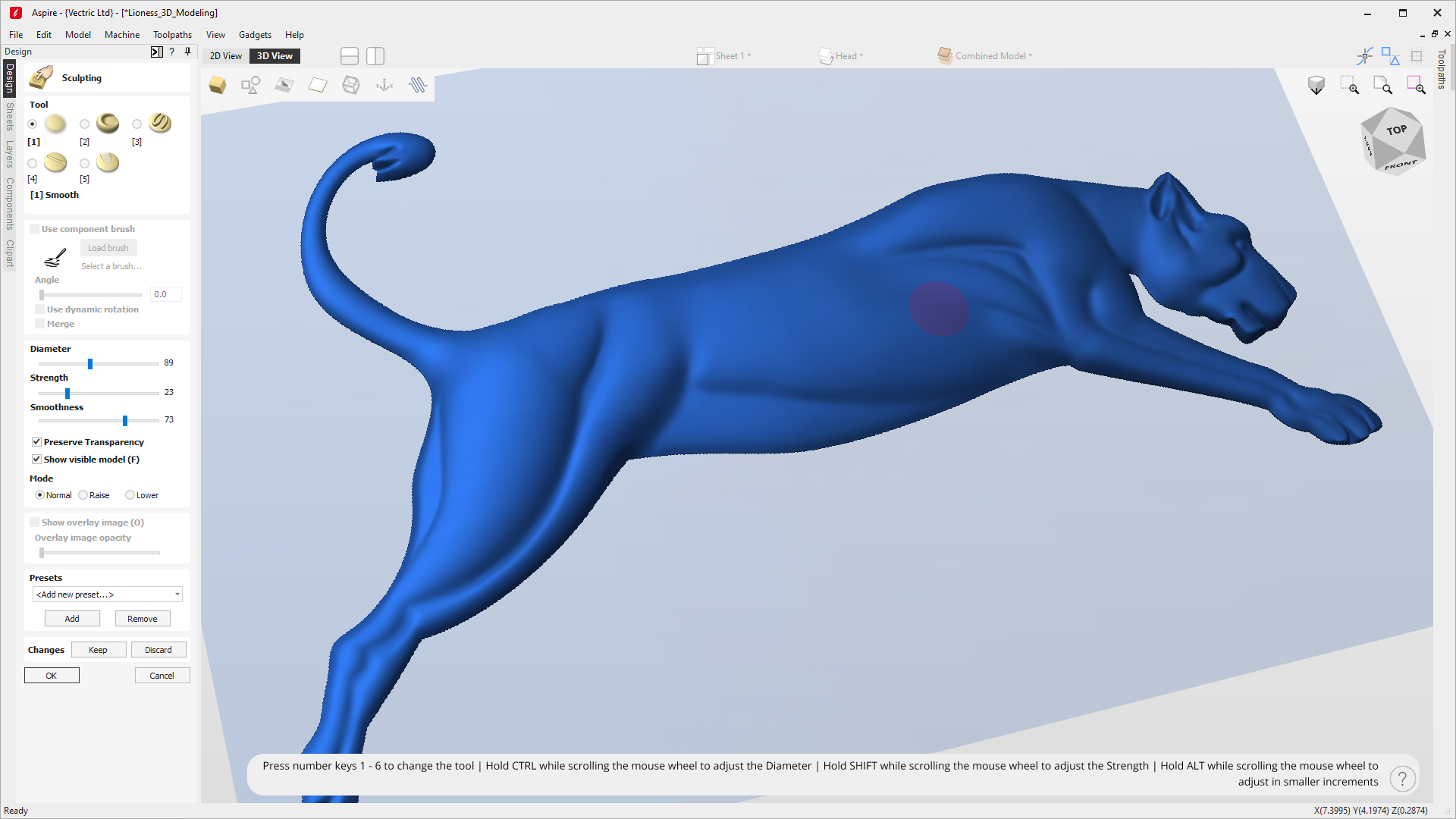 Model Sculpting Model Sculpting