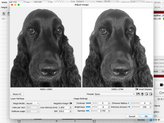 Adjust_Image Adjust_Image